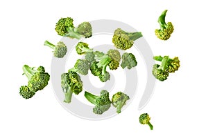 Scattered branches of fresh green broccoli isolated on white background without shadow