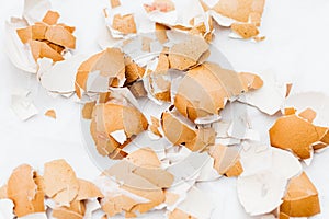 Scattered broken eggshells on a white background
