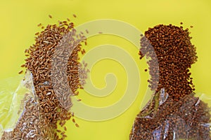 Scattered buckwheat, Poltava, cereals on a yellow background