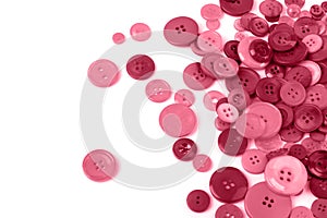 Scattered buttons magenta color isolated on white.