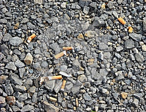 Scattered cigarette butts