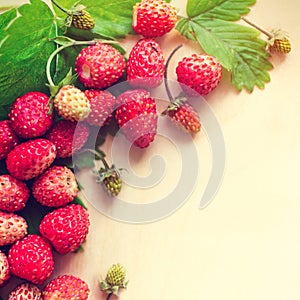 A scattered crop of wild strawberries. Red ripe berry on a light background. Diet Concept Food Light Banner