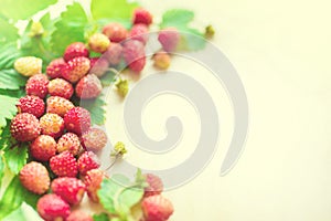 A scattered crop of wild strawberries. Red ripe berry on a light background. Diet Concept Food Light Banner