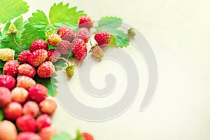 A scattered crop of wild strawberries. Red ripe berry on a light background. Diet Concept Food Light Banner Tinted.