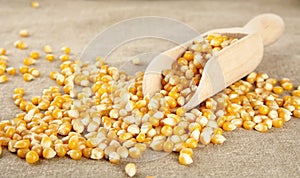 Scattered dried corn with scoop on wooden plank