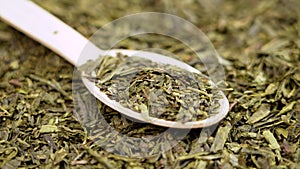 Scattered dried green sencha tea leaves in bamboo wooden teaspoon