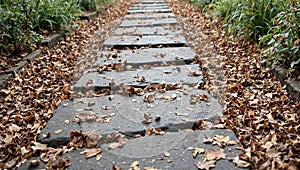 Scattered dry leaves on stepping stones in a garden path