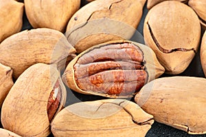 Scattered fresh pecans nuts in shell