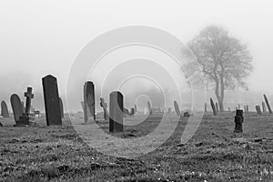 Scattered Graves in a Misty Cemetery