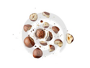 Scattered hazelnuts on white background