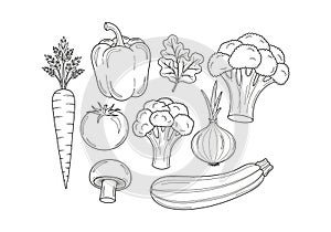 In a scattered pattern on a plain white background, highlighti