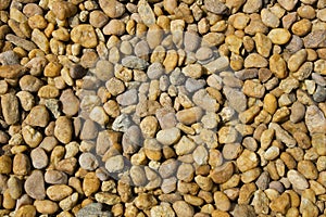 Scattered pebbles photo