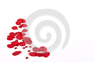 San Valentino rose un cuore 