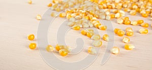 Scattered ripe dried yellow corn on wooden desk