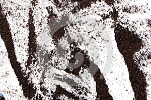 Scattered soil lies on a white background.