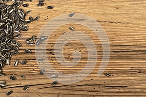 Scattered Sunflower Seeds, Striped Raw Seeds on Wood Background Texture Top View