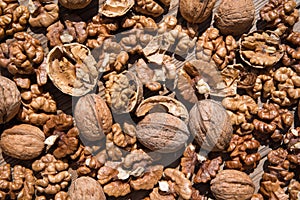 Scattered whole walnuts and nuts