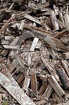 Scattered Woodpile of Pine Firewood