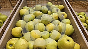 A scattering of apples on the counter of a vegetable store.