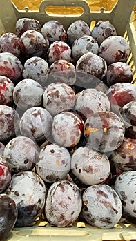 A scattering of plums on the counter of a vegetable store.