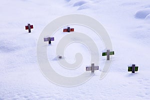 Scattering of small wooden animal grave markers half-covered in fresh snow