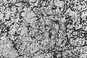 Scaur black and white rock texture background photo
