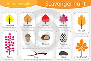Scavenger hunt, autumn walk, different colorful autumn pictures for children, fun education search game for kids, development for photo