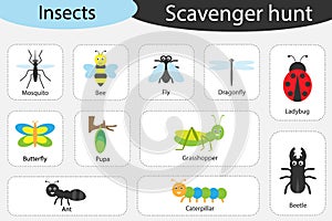 Scavenger hunt, insects theme, different colorful pictures for children, fun education search game for kids, development for