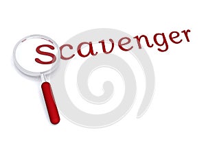 Scavenger with magnifying glass photo