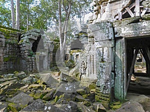 A scene from the ancient Khmer temple ruins of Ta Nei