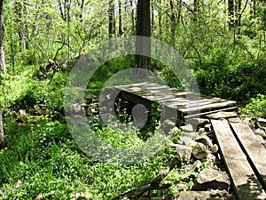 Scene on the Appalachian Trail in Pennsylvania