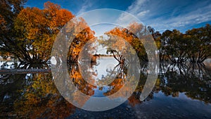 The Scene of the Autumn of Lake Tekapo