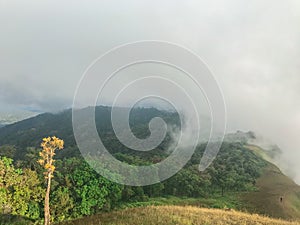 Scene and big rock on the top of mountain at Chaing mai, Thailand