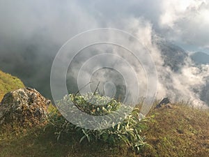 Scene and big rock on the top of mountain at Chaing mai, Thailand