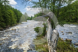 Scene of a bird wod made sculpture in the Parc regionale de la Riviere du Nord photo