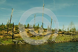 Scene from the Boundary Waters