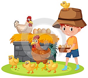 Scene with boy feeding chickens on the farm