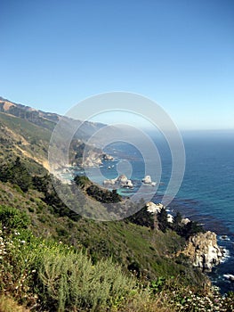 Scene from California Coast with Wildflowers