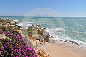 Scene captured in Chiringuitos beach. Albufeira, Portugal photo