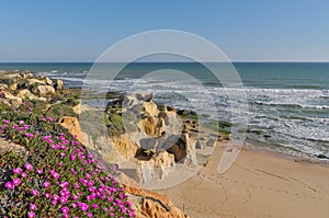 Scene captured in Chiringuitos beach. Albufeira, Portugal photo