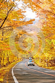 Scene of cars drive along the road with autumn red leaf in Aomori, Japan. Beautiful country side along the road great time for tr