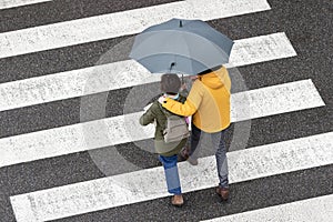 Scene of a couple walking together with an umbrella on a city zebra crossing