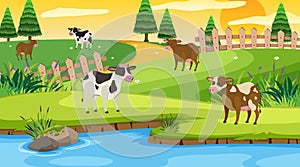 Scene with cows in the field