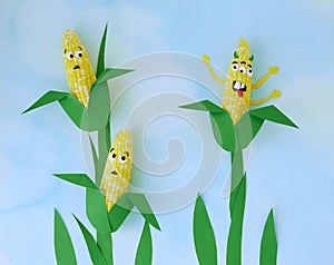 Scene depicting genetically modified corn