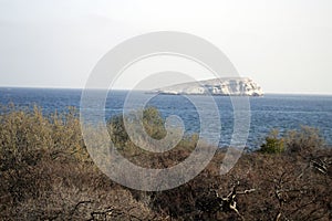 scene of the desert vegetation next to the sea in Sonora