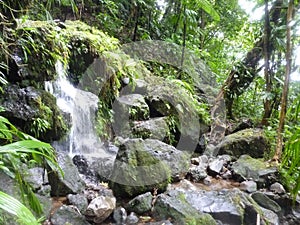 Scene of Dominica, West Indies