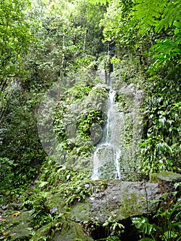 Scene of Dominica, West Indies