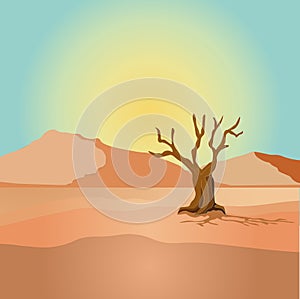 Scene with dried tree in desert field illustration