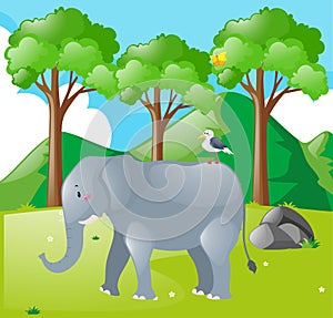 Scene with elephant and bird in the field