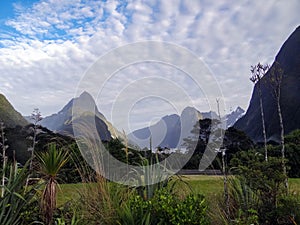 Scene from the End of Milford Sound